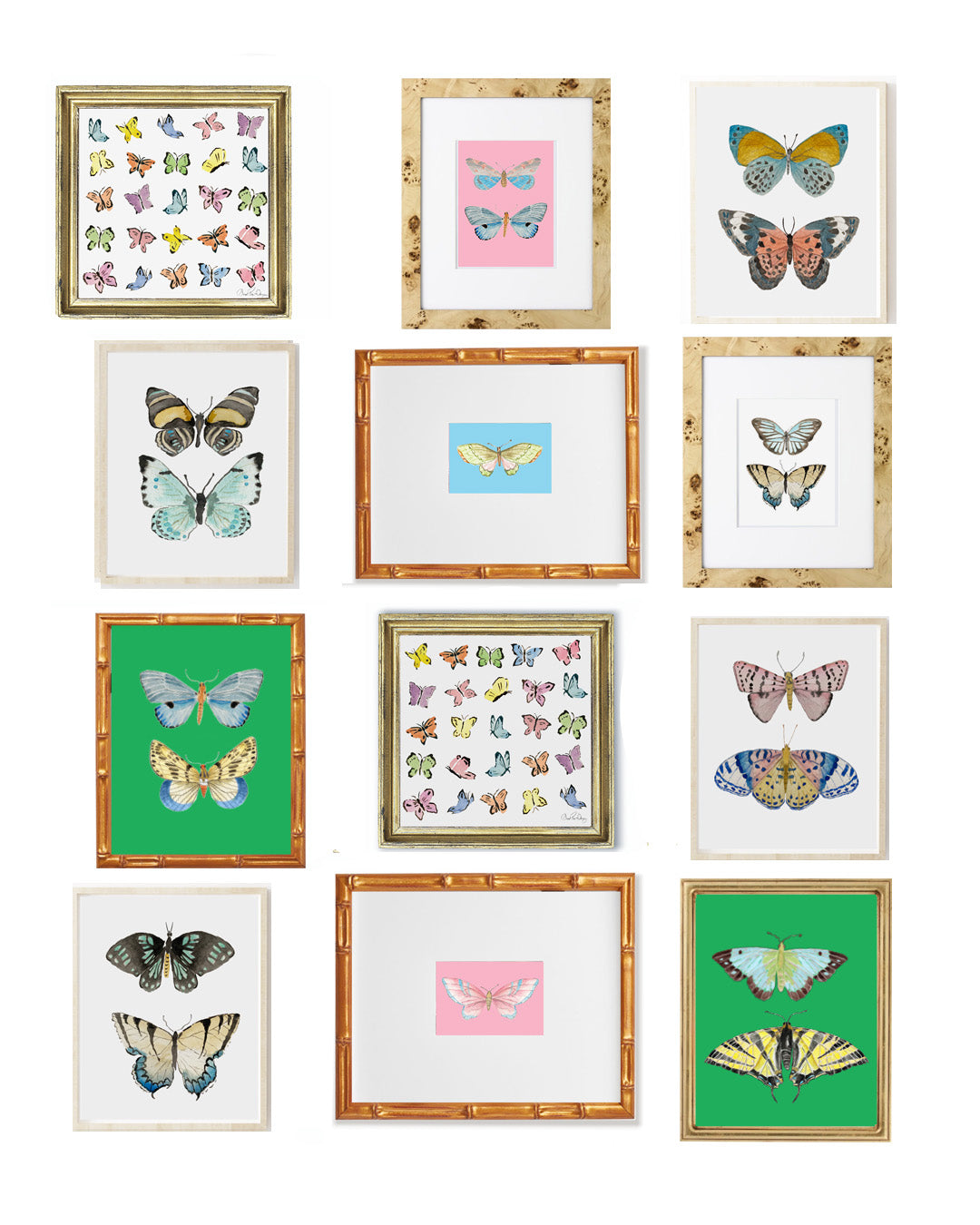 Butterfly Art Prints